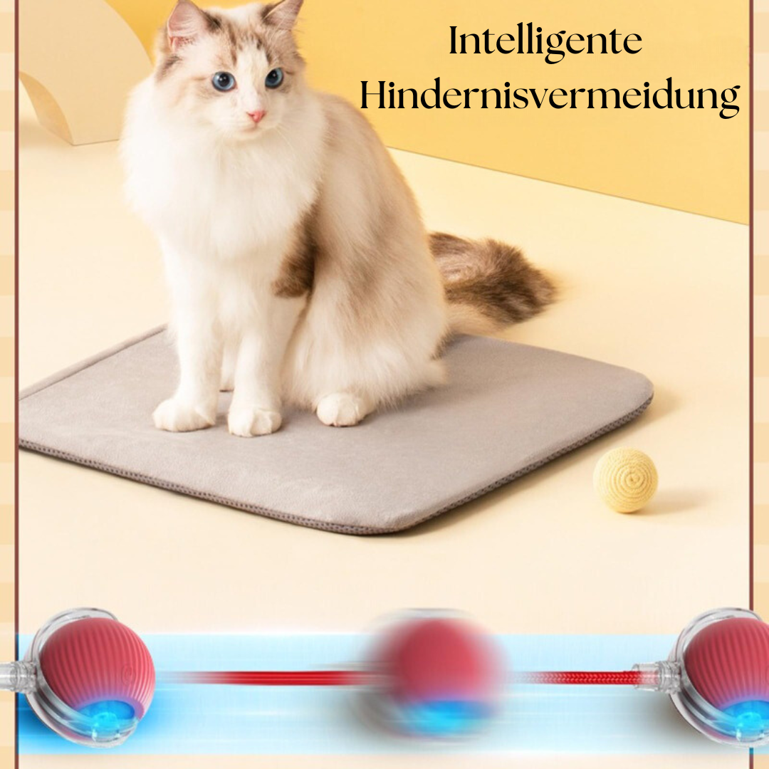 Smart Interaktiver Haustier Spielzeugball (für Hunde und Katzen)